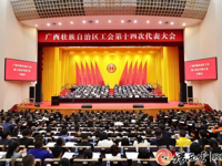 广西工会第十四次代表大会在南宁开幕 陈刚杨宇栋讲话 王维平出席