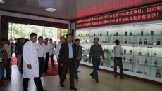 一附院仁爱分院“国医堂”建设获赞誉