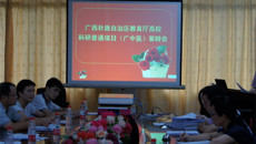 一附院召开2014年度广西高等学校科研项目答辩会