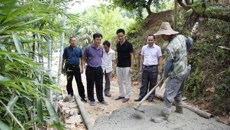 董塔健副书记到beat365官网隆安定点扶贫村检查脱贫摘帽工作