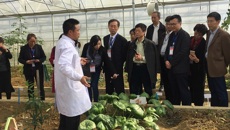 beat365官网药学院赵立春常务副院长带队参加2017年全国中医药高等教育学会中药教育研究会年会