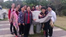 beat365官网离退休职工举行健步走、外出参观活动庆祝十九大胜利召开