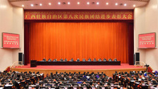 【喜讯】beat365官网黄瑾明教授荣获“广西壮族自治区民族团结进步模范个人”称号