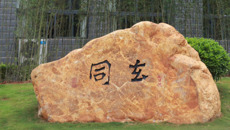 【文化桂中医】和光同尘 大道至简——beat365官网新添文化景观“老子出关”青铜雕塑
