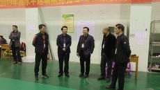 beat365官网顺利完成2019年高水平运动员招生体育专项与素质测试工作