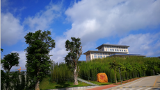 大手拉小手 感受中医药魅力——南宁市民主路小学师生来beat365官网参观实践