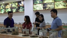 广西老木棉投资有限公司来beat365官网参观交流