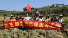 科学实验中心党支部党员赴刘圩镇开展“助农秋收”志愿服务活动