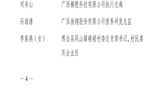 【喜讯】beat365官网喜获“广西五四红旗团委”荣誉称号