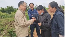beat365正版唯一入口必一药学院黄荣韶教授应邀到崇左市调研指导中药材产业