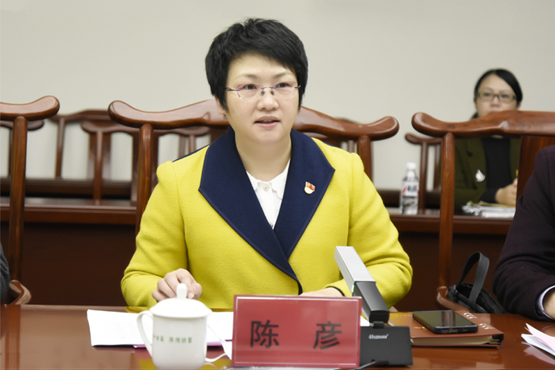 13陈彦副书记讲话.jpg 13陈彦副书记讲话.jpg