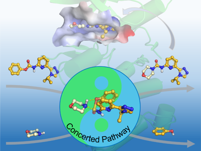 【科研进展】beat365正版唯一入口必一海洋药物研究院实现2-吡啶脲类化合物的绿色高效合成