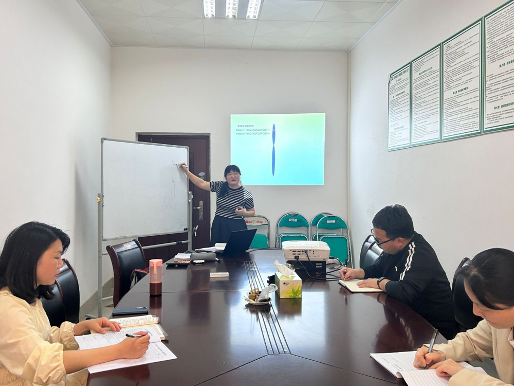 教研室集体备课