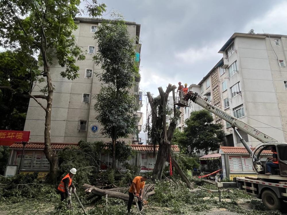 b668784ef9a4e49d42f96a3e1466953