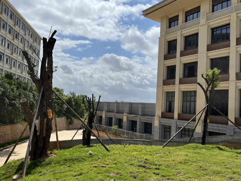 dc69cc9d60a82686c7c6b6b3058da49