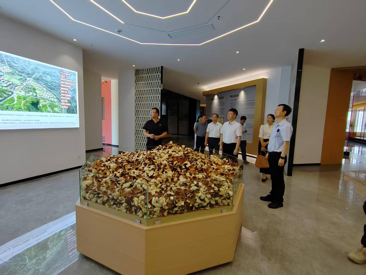 44dc3ab898ac6d005917889db79cc23b