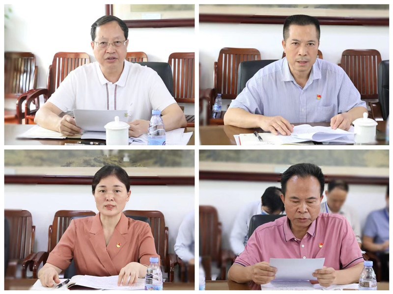 中心组成员代表发言