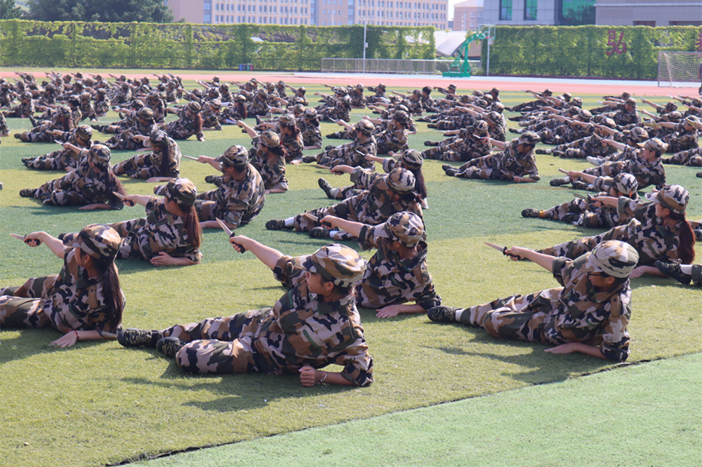 微信图片_20230731130822_副本