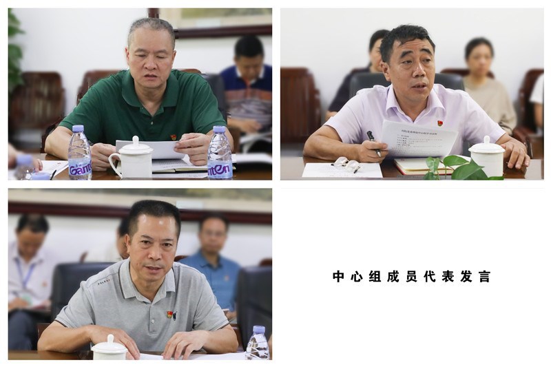 中心组成员代表发言
