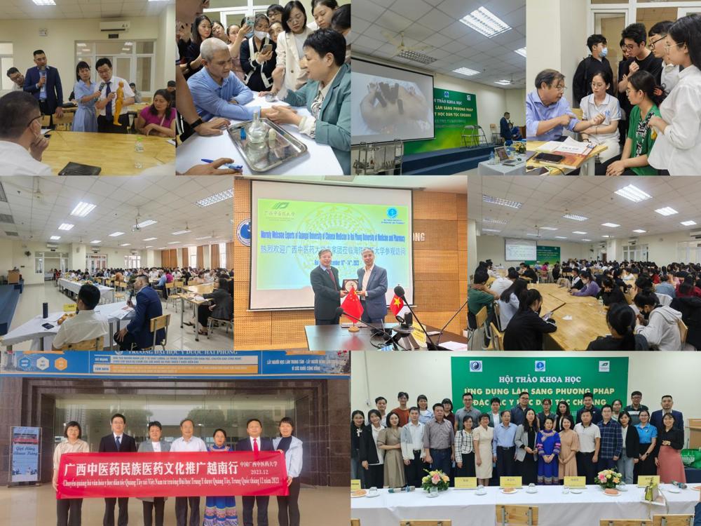 446f6a8e953aefde7f765231c82f9b1