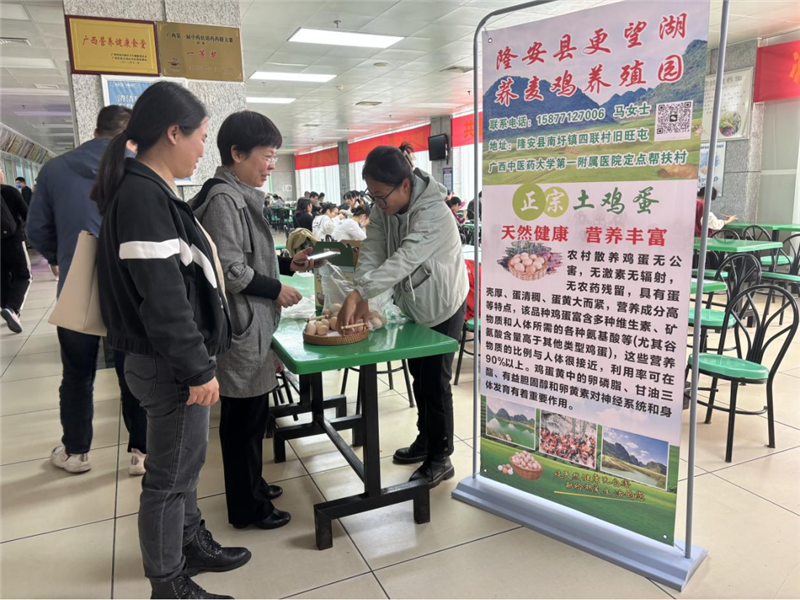 四联村更望湖荞麦鸡养殖园土鸡蛋购买现场