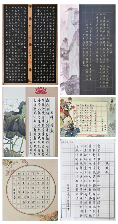 部分优秀作品展示-书法(硬笔类) 部分优秀作品展示-书法(硬笔类)