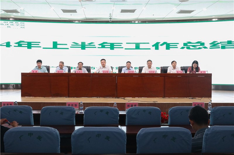 党委书记桂雄斌作总结发言