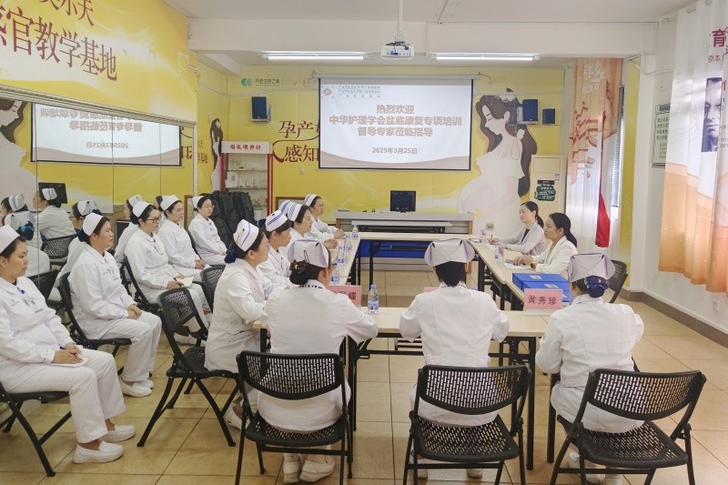 专家督导