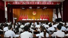 共青团beat365正版唯一入口必一第三次代表大会顺利召开