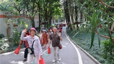 第一附属医院组织离退休职工开展迎接重阳节赏花活动