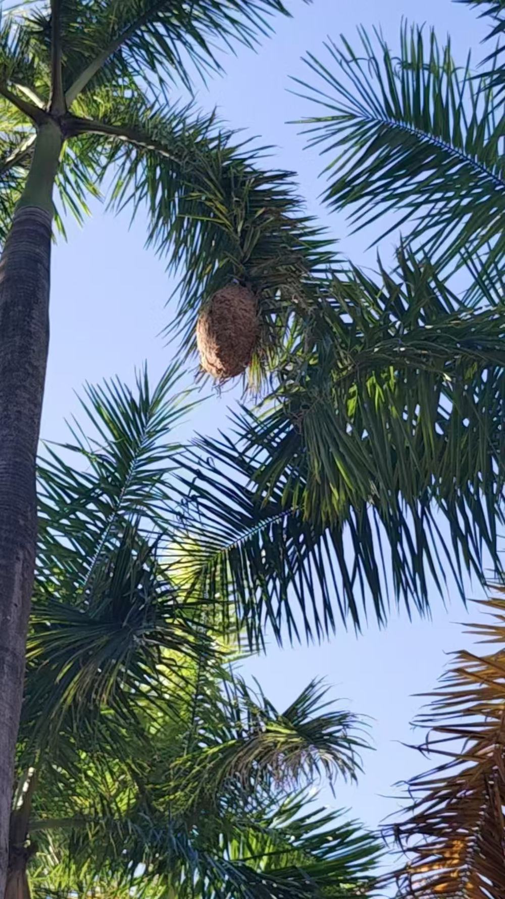 2cac4ccdb2659527916a5271fc34bb9