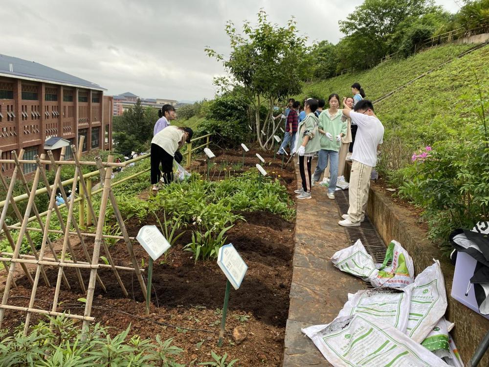 Cache_-5bf4de8706104855.