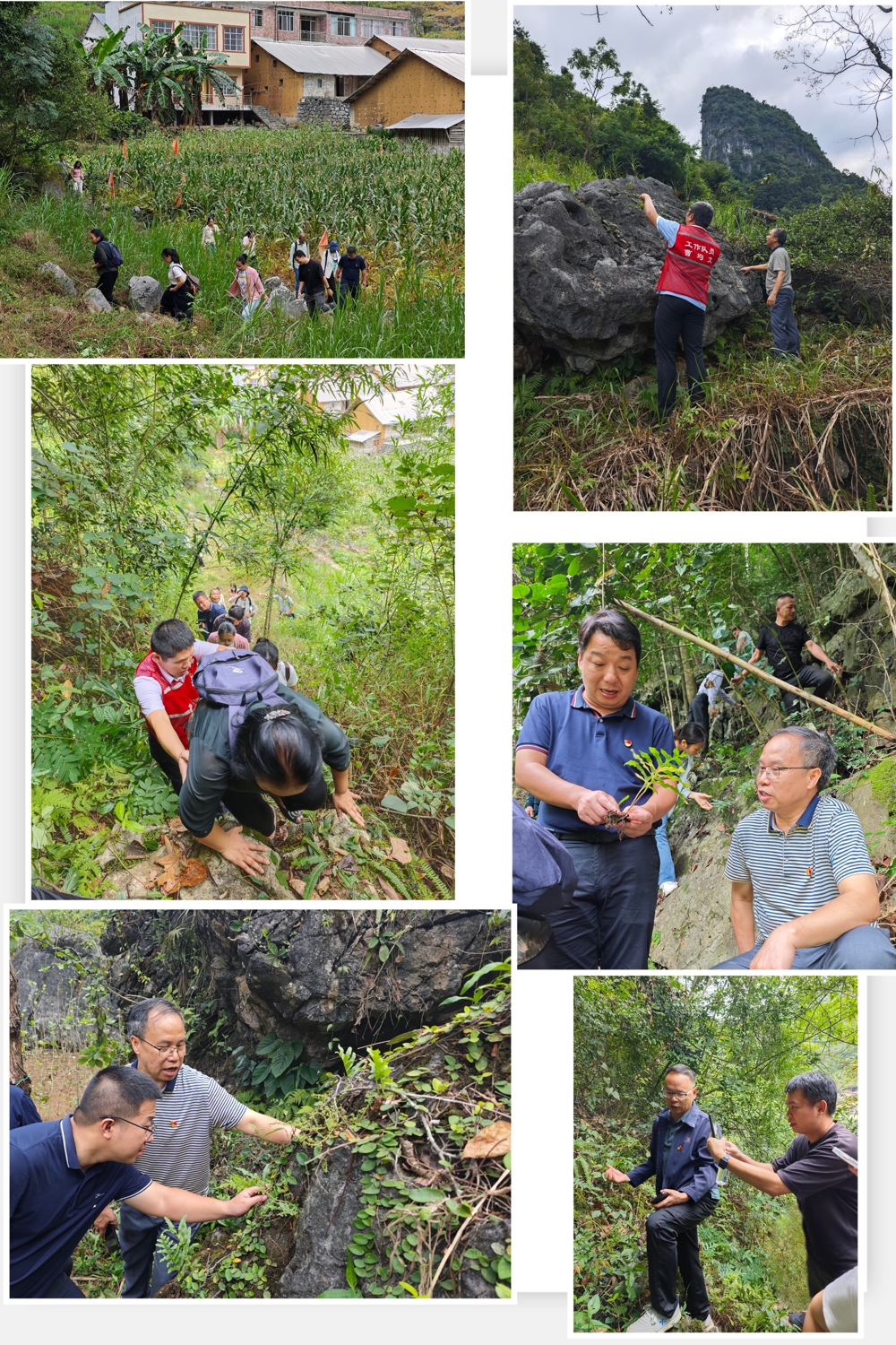 DAD19524E0A7D124AEAFE57B36294F22