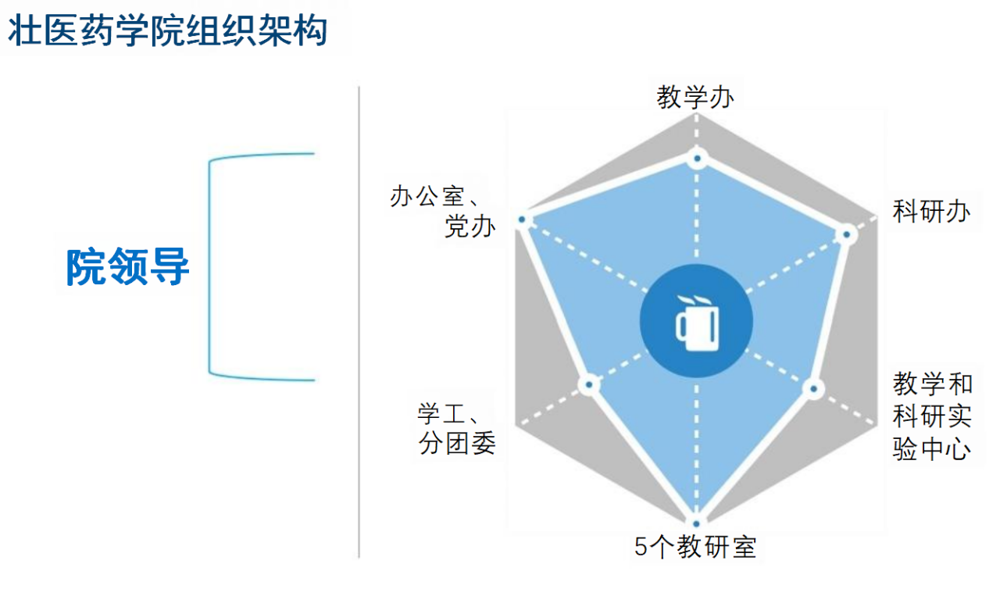 壮医药学院组织架构